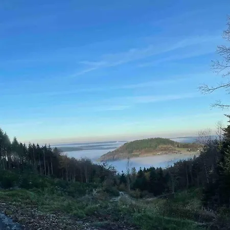 En Foret Avec Etang.