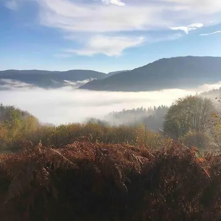 Ferienhaus En Foret Avec Etang. Saint-Etienne-les-Remiremont