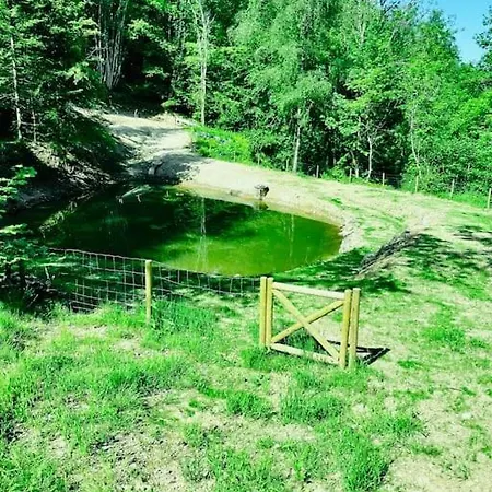 Hébergement de vacances En Foret Avec Etang. *