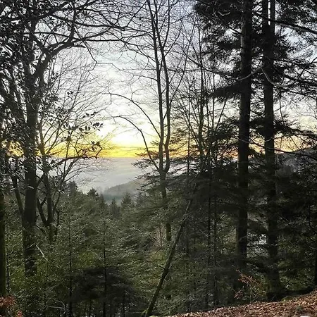 Hébergement de vacances En Foret Avec Etang. Saint-Etienne-les-Remiremont