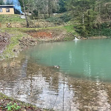 En Foret Avec Etang. Hébergement de vacances Saint-Etienne-les-Remiremont