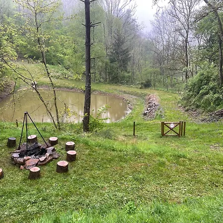 En Foret Avec Etang. * Saint-Etienne-les-Remiremont