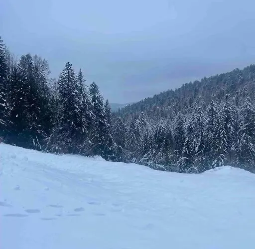 Prázdninový dům En Foret Avec Etang. *