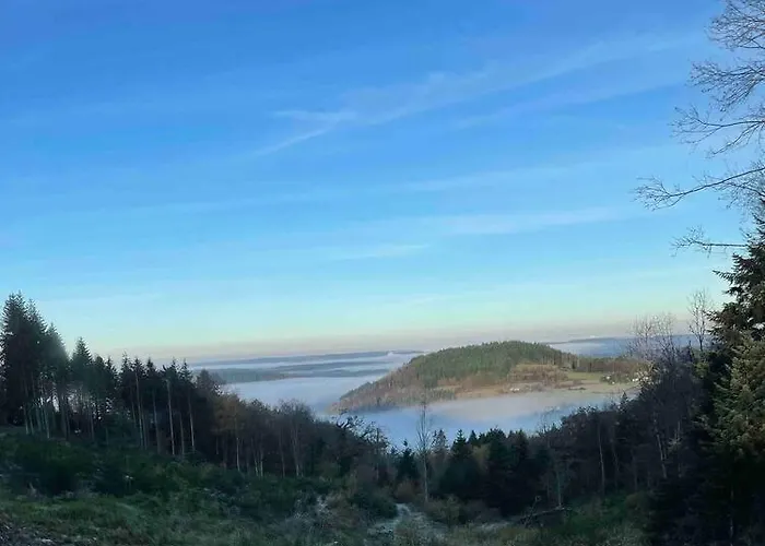 En Foret Avec Etang.