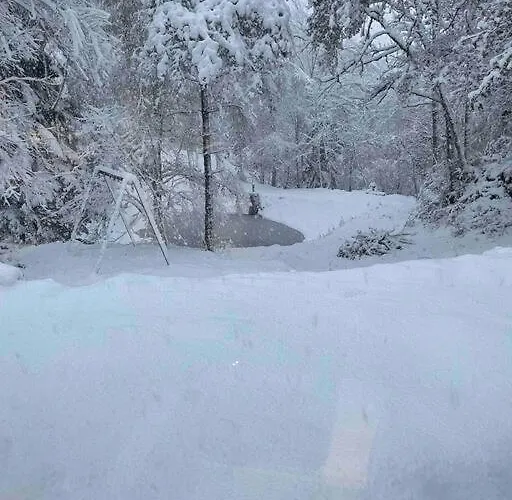 Prázdninový dům En Foret Avec Etang.