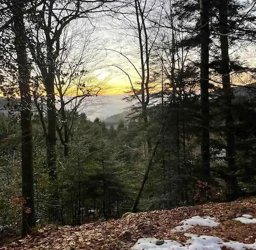 En Foret Avec Etang. Prázdninový dům *