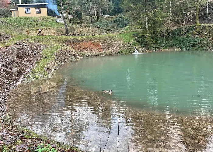 En Foret Avec Etang. Prázdninový dům Saint-Etienne-les-Remiremont