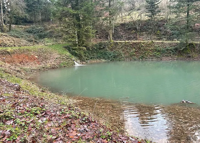 En Foret Avec Etang. Saint-Etienne-les-Remiremont