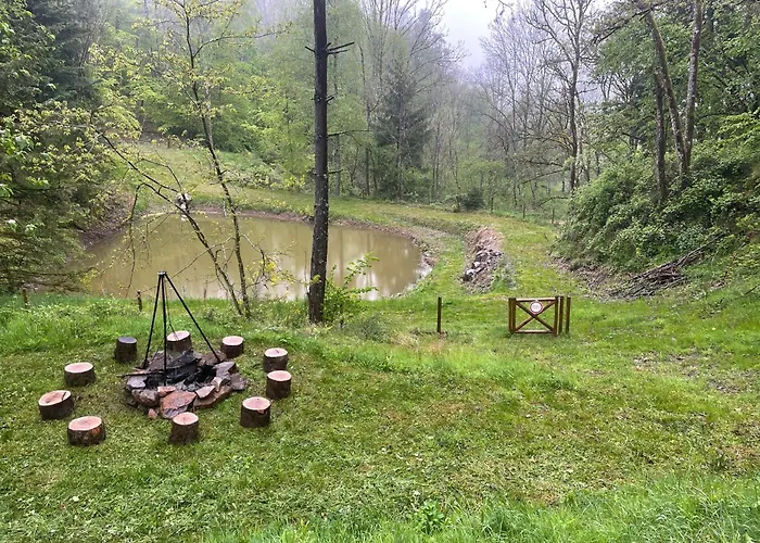 En Foret Avec Etang. * Saint-Etienne-les-Remiremont